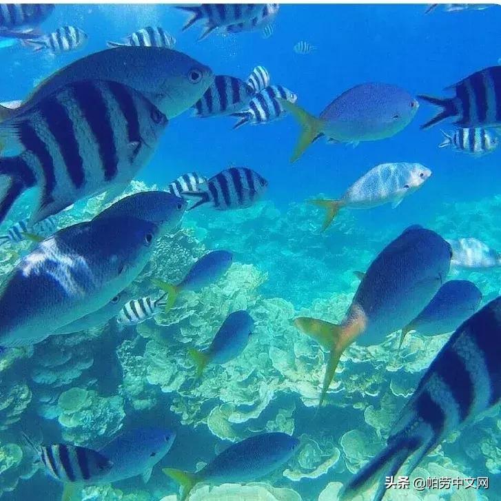 还没有被发现的岛屿,又挖到5个福建的小众绝美海岛