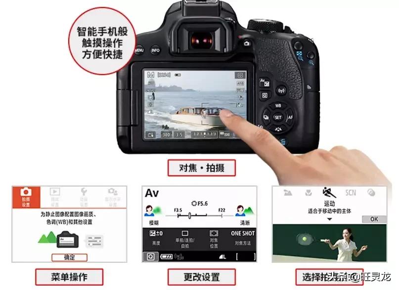 入门级单反佳能800d,摄影入门佳能800d怎么样