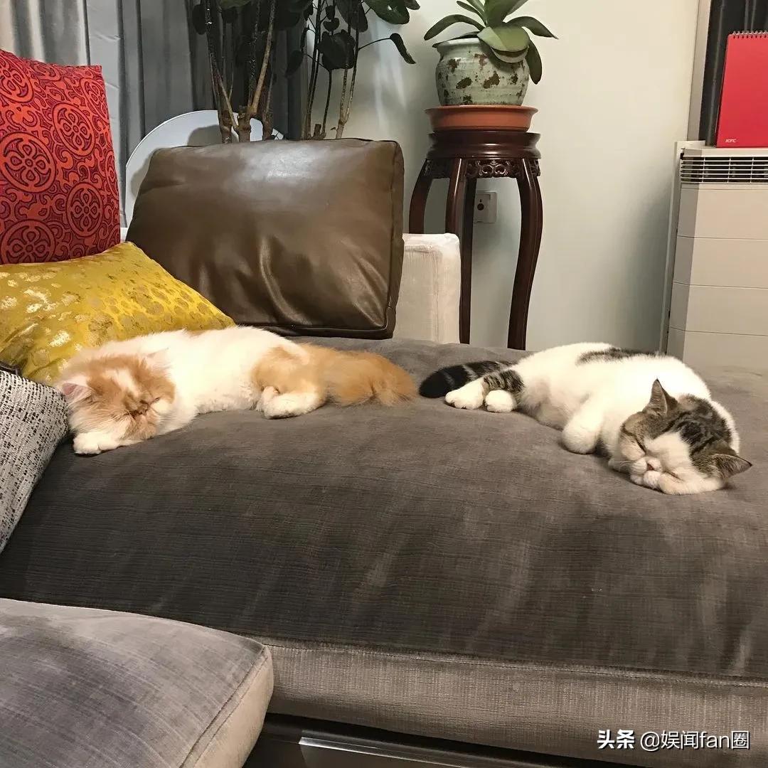 鹿晗关晓彤怎么认识的,热巴鹿晗什么时候认识