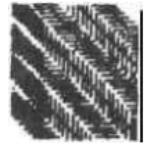 2020马鞍山教师招聘：教育心理学知识点：错觉