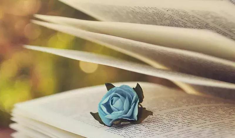 宝宝夏天起痱子需要抹药吗,婴儿夏天起痱子最有效的解决方法