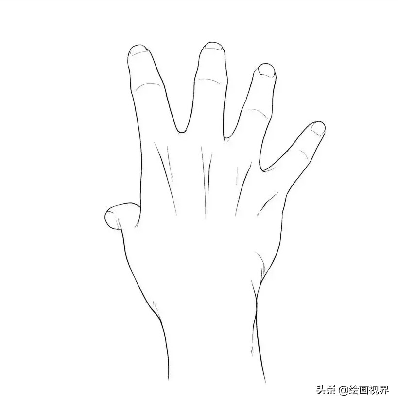 手的绘画入门教程,画人手的画法