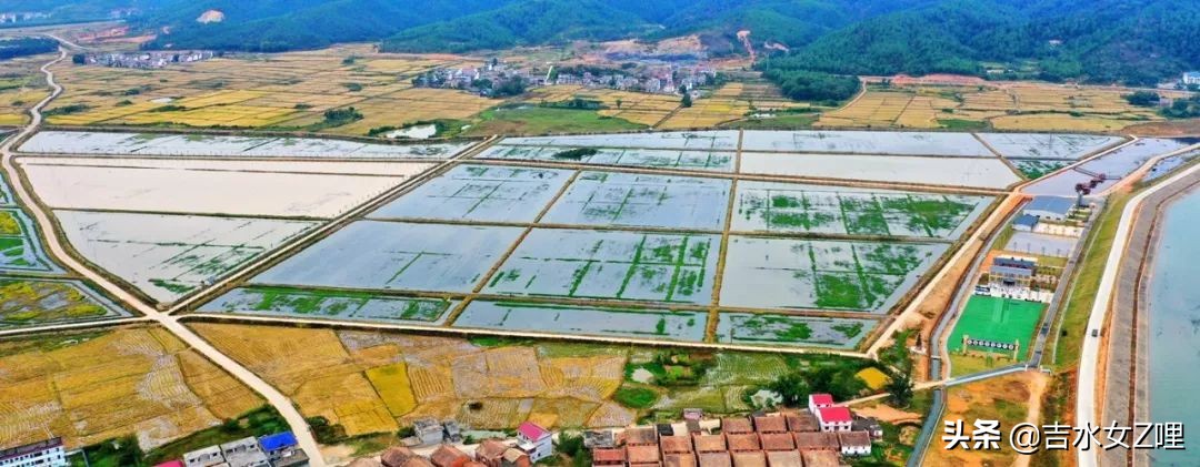 吉水街头采访,吉水县新闻视频