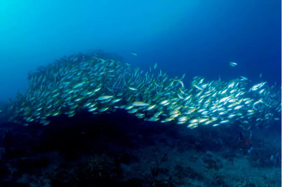 走过很多地方的诗句,走过很多地方原唱