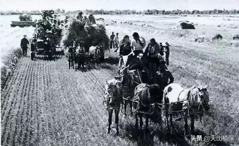 伟大的新疆,伟大的阿勒泰