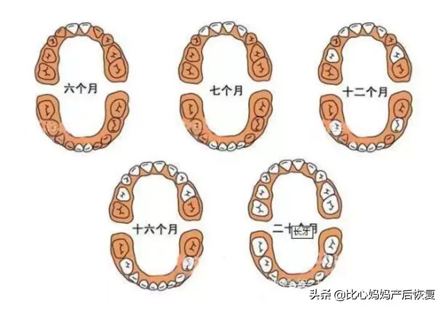 宝宝出牙有什么症状及护理,宝宝出牙的症状和缓解方法视频