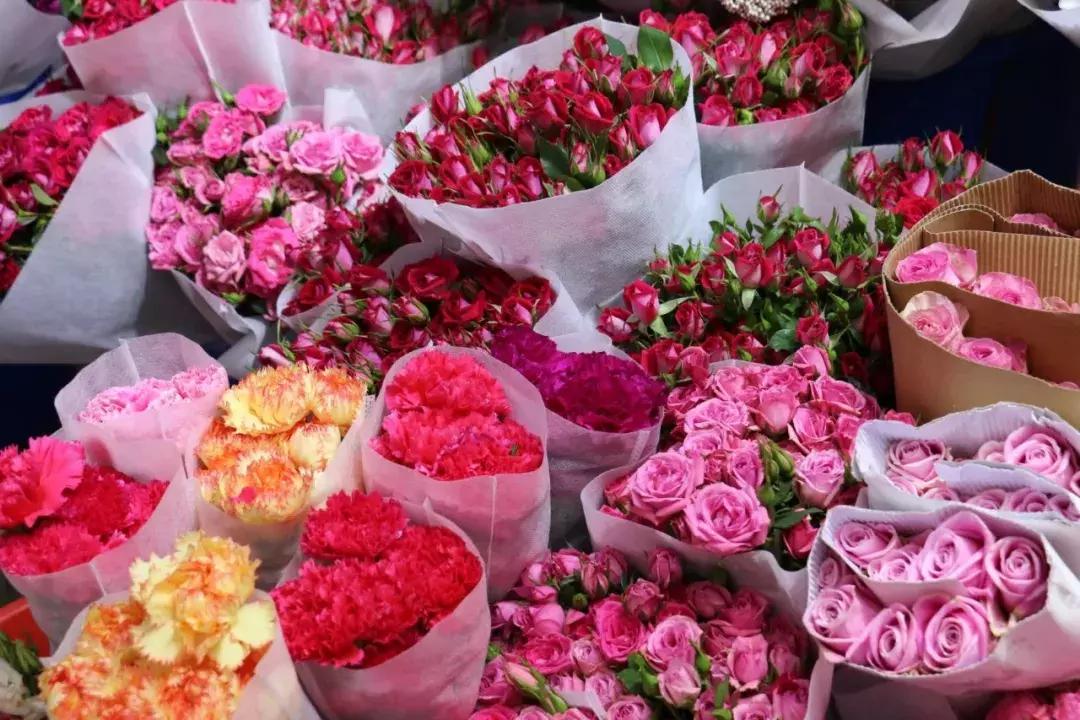 郑州三大花卉市场都是哪个,郑州哪个花卉市场最全