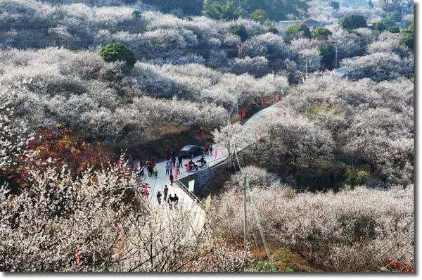 陆河县最好吃的东西,在陆河吃什么