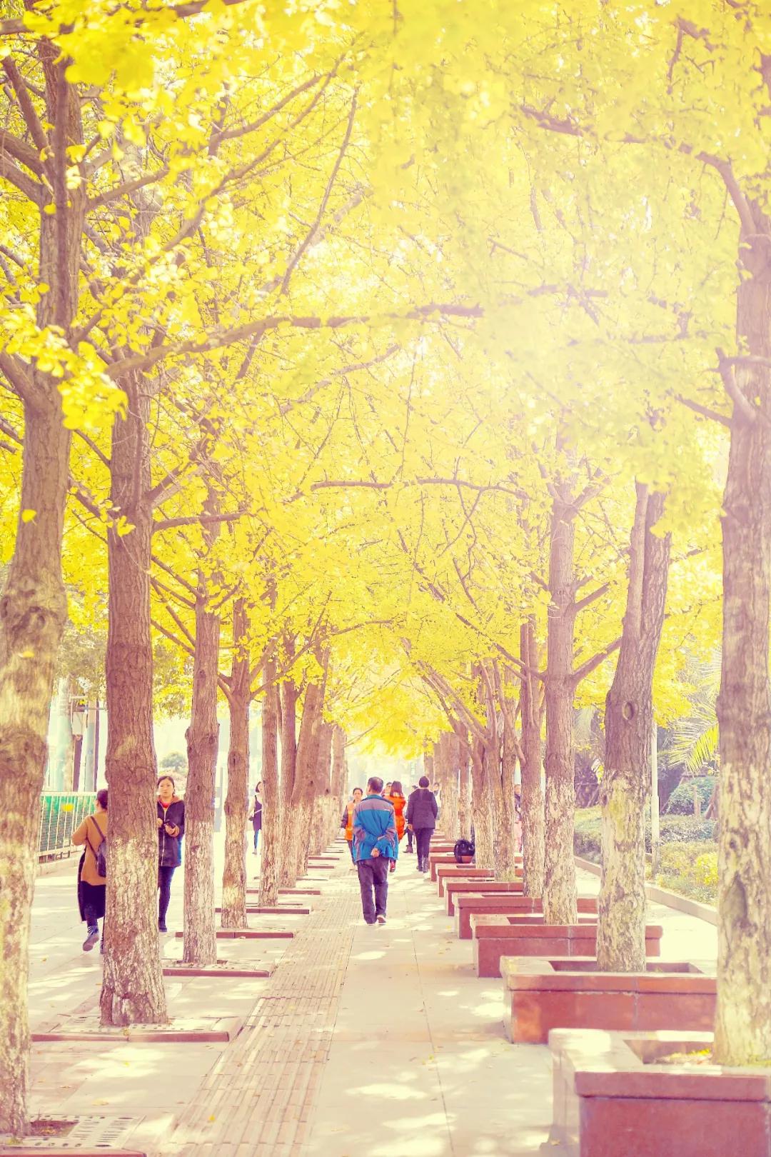 贵阳市创新型城市排名,贵阳市示范性综合实践基地