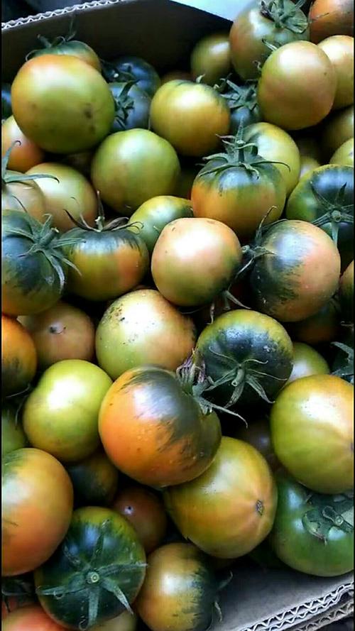 辽宁省除了沈阳大连哪个城市宜居,辽宁大连最宜居的地方