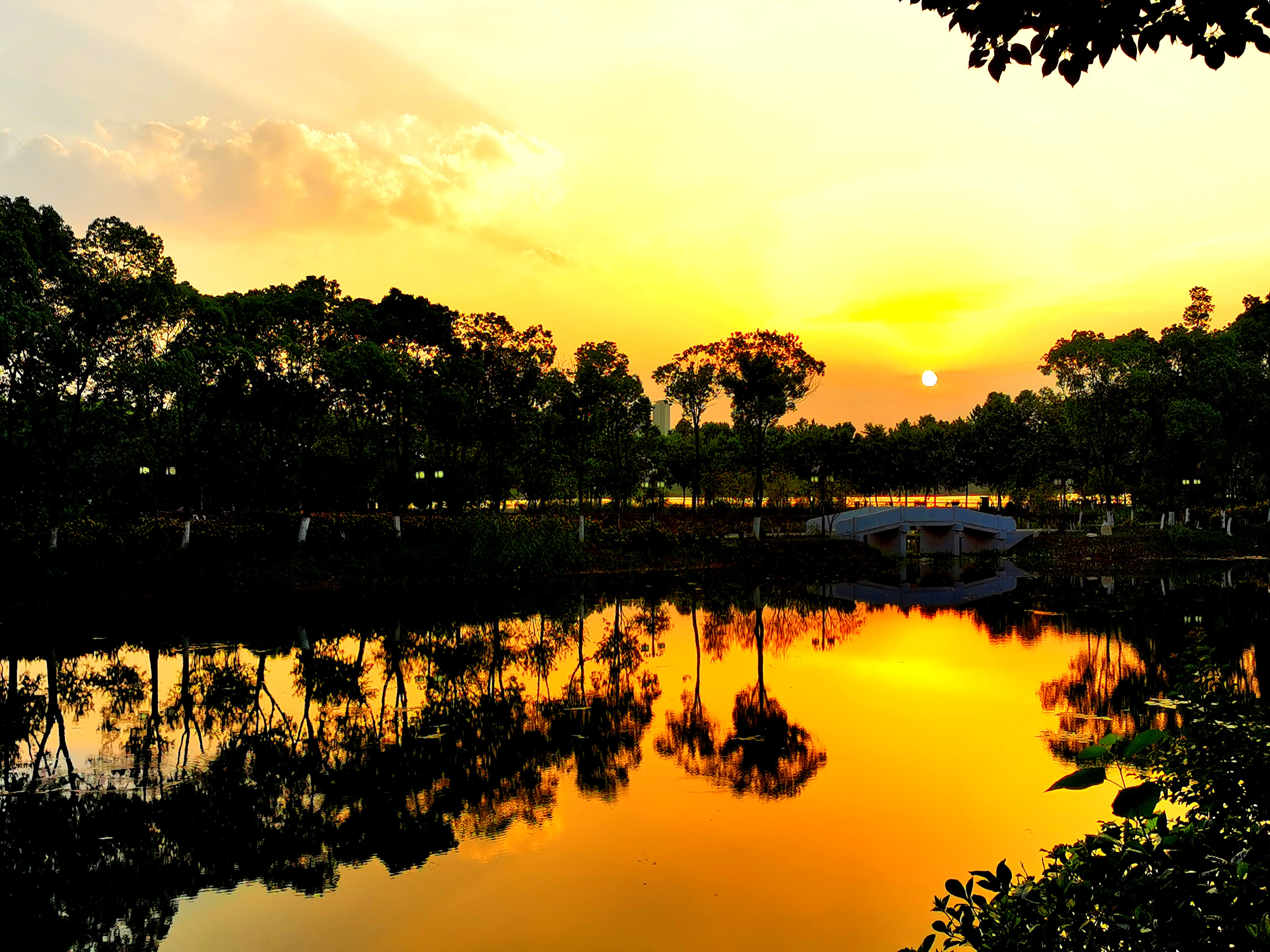 沉睡的历史与惊艳的现实——走读东西湖