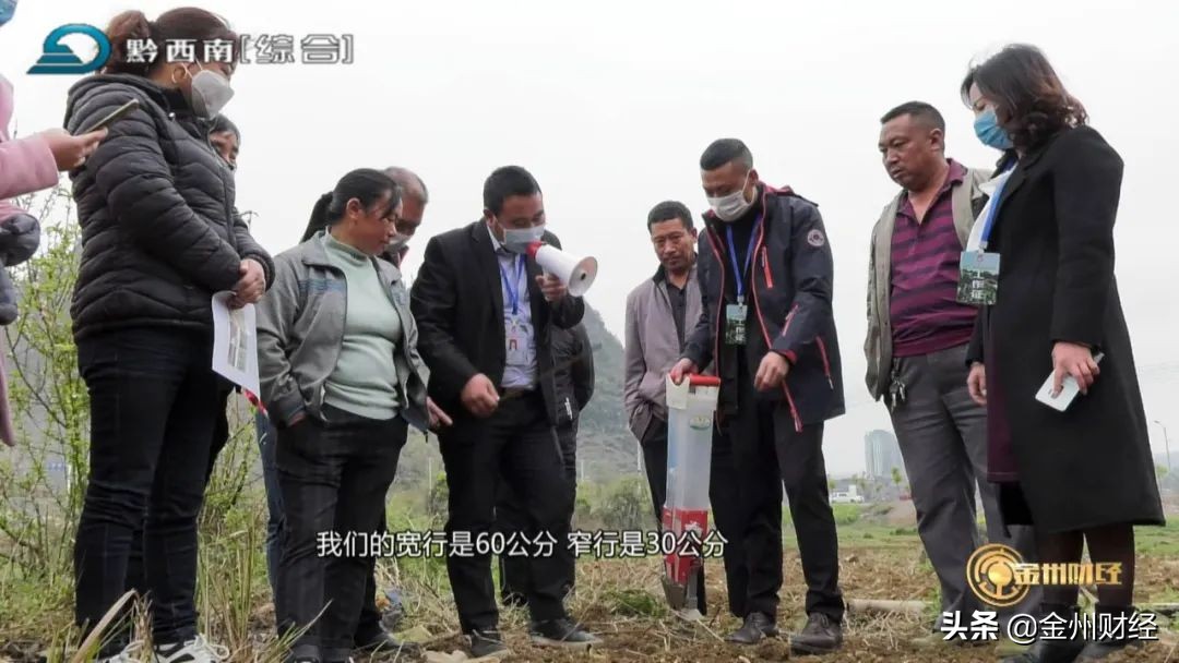 【电视版】兴仁农商银行：信贷支持高粱产业成就百姓致富梦