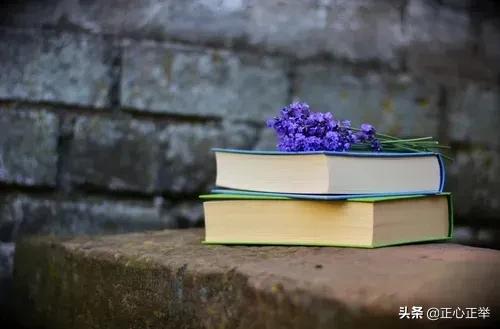 教育慢半拍,等一等会更好教学反思