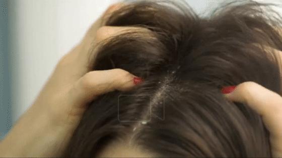 康王之父,康王之父周家礽