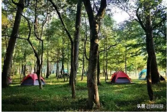 福建自驾房车露营地推荐,福建顶级露营地