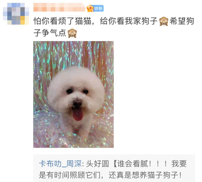 唱功逆天的男声,最被人低估的男歌手