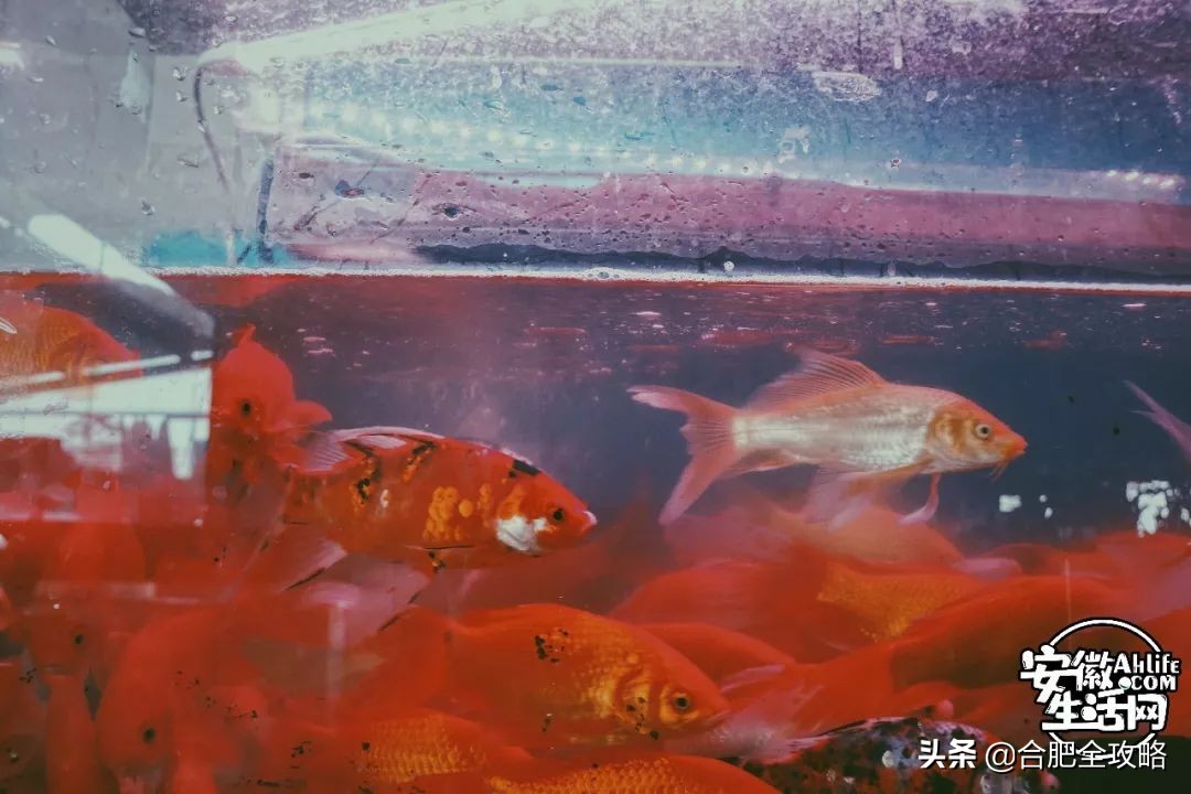 老周谷堆水果批发市场,老周谷堆古玩市场