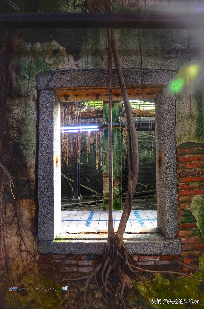 带上妈妈去旅行,带妈妈旅行去哪里合适