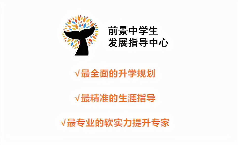 综评在哪个网站,综评网怎么发