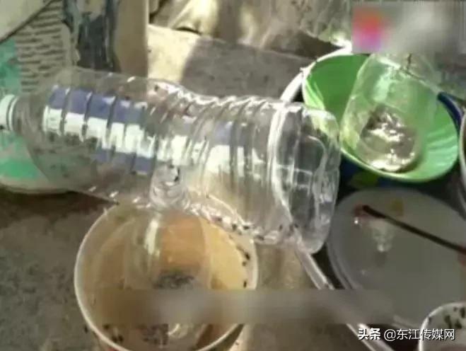 夏天最爱登门拜访惠州人的虫子，满屏全都是惊吓