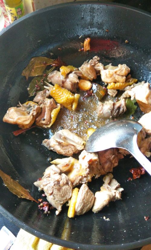 河滩牧鸭养殖,河边野炊炒鸡