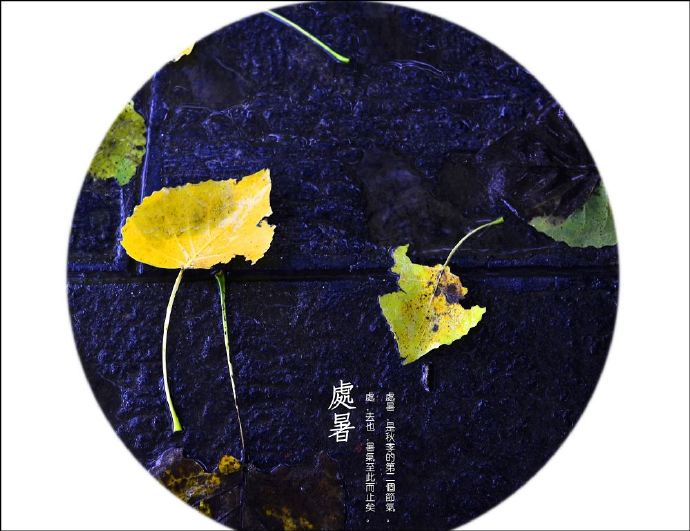 「处暑」向长夏言别，与浅秋相拥