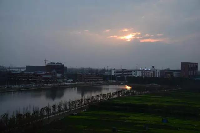 鎶楃柅鏃ヨ鏁ｆ枃,鎶楃柅鑳屽奖浣滄枃