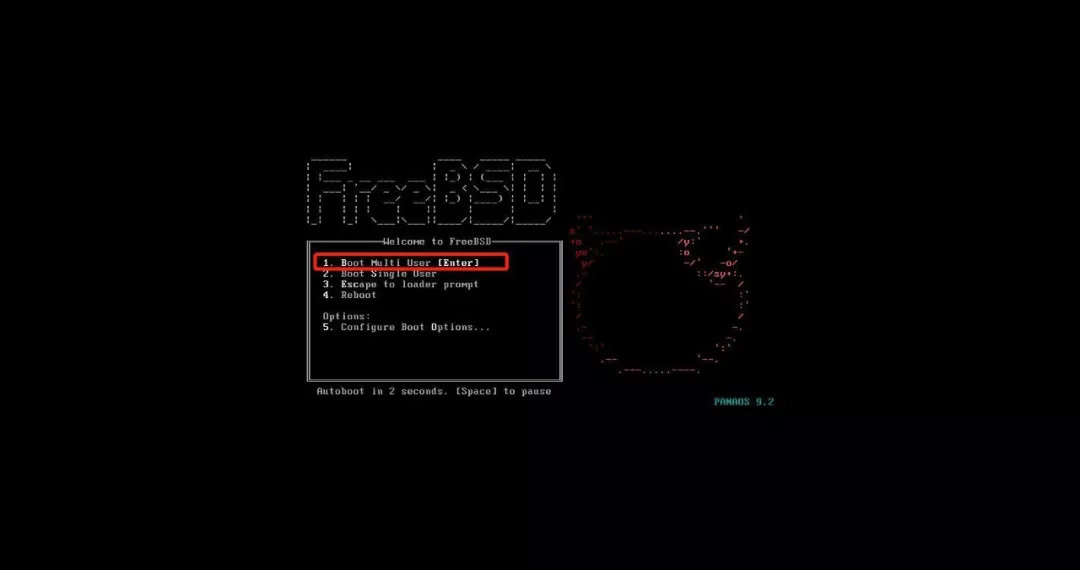 虚拟化网络要学什么,虚拟化中的网络构架