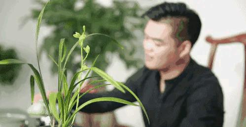 每日一品栏目,每日一品七律