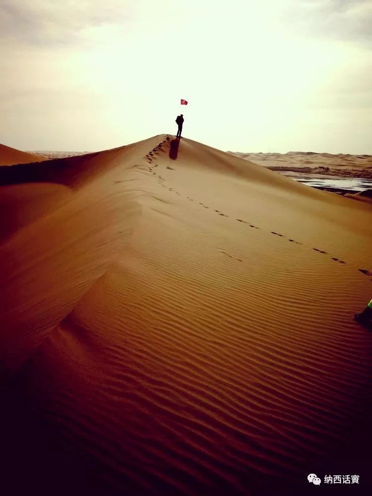 叶紫被雷劈穿越到异界,关于叶紫的穿越小说