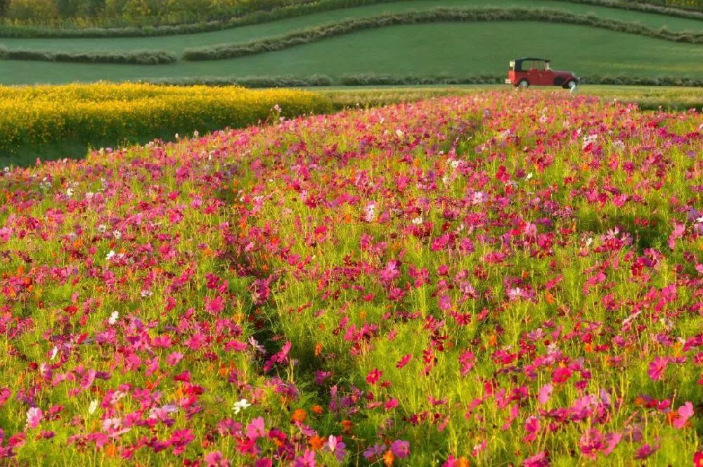 上海厉害了,厉害了上海