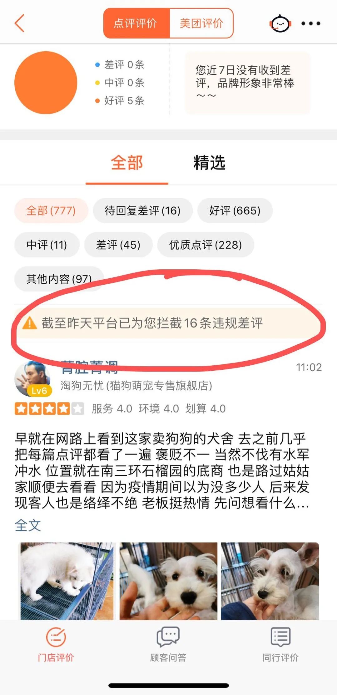 北京宠物店月流水,北京开宠物猫店渠道有哪些