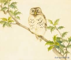 鸟为图腾的民族,商周朝为何以鸟为图腾