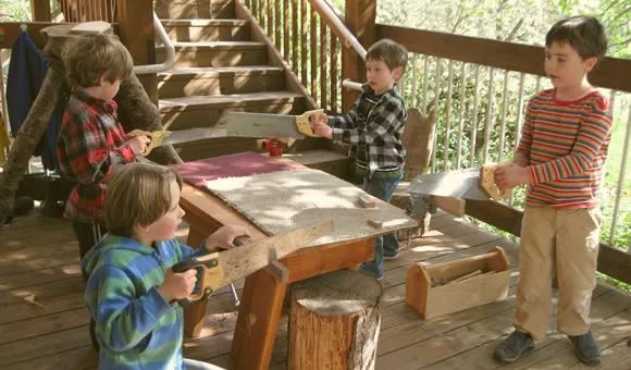 国家对华德福的态度,华德福在中国的发展历程