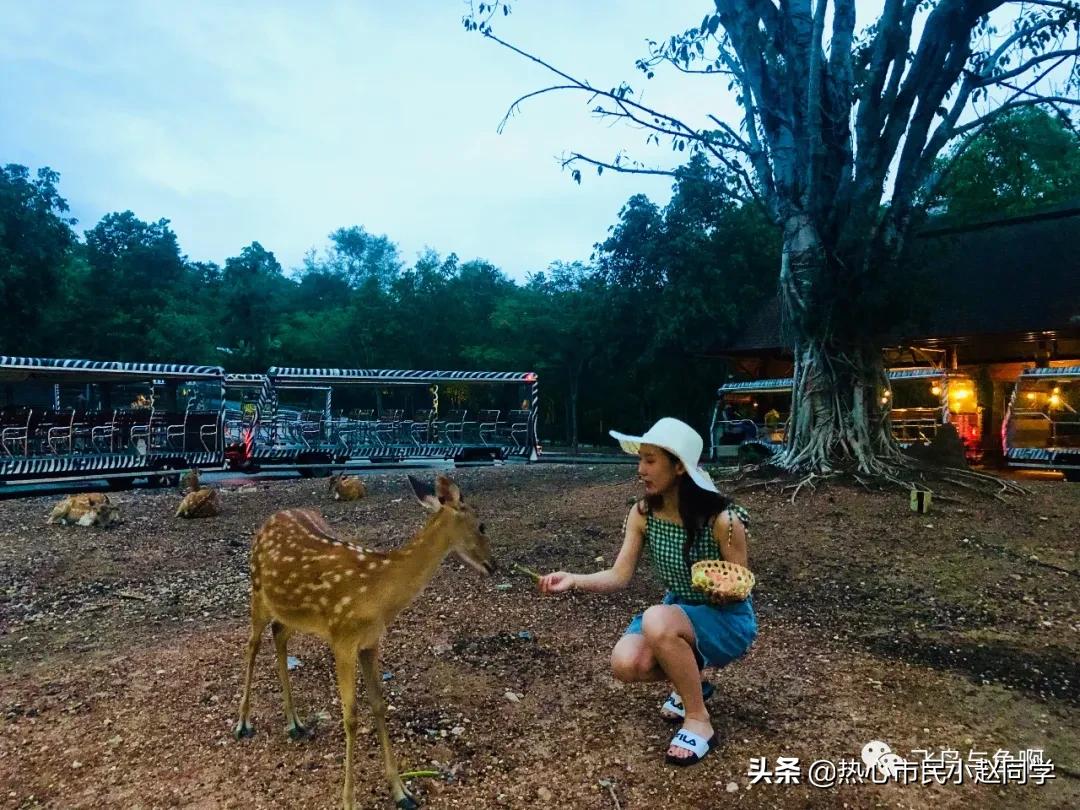 泰国各个城市攻略,初识泰语