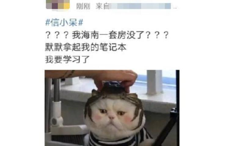 中一亿锦鲤女孩后来怎么样了,锦鲤女孩一夜暴富后现状