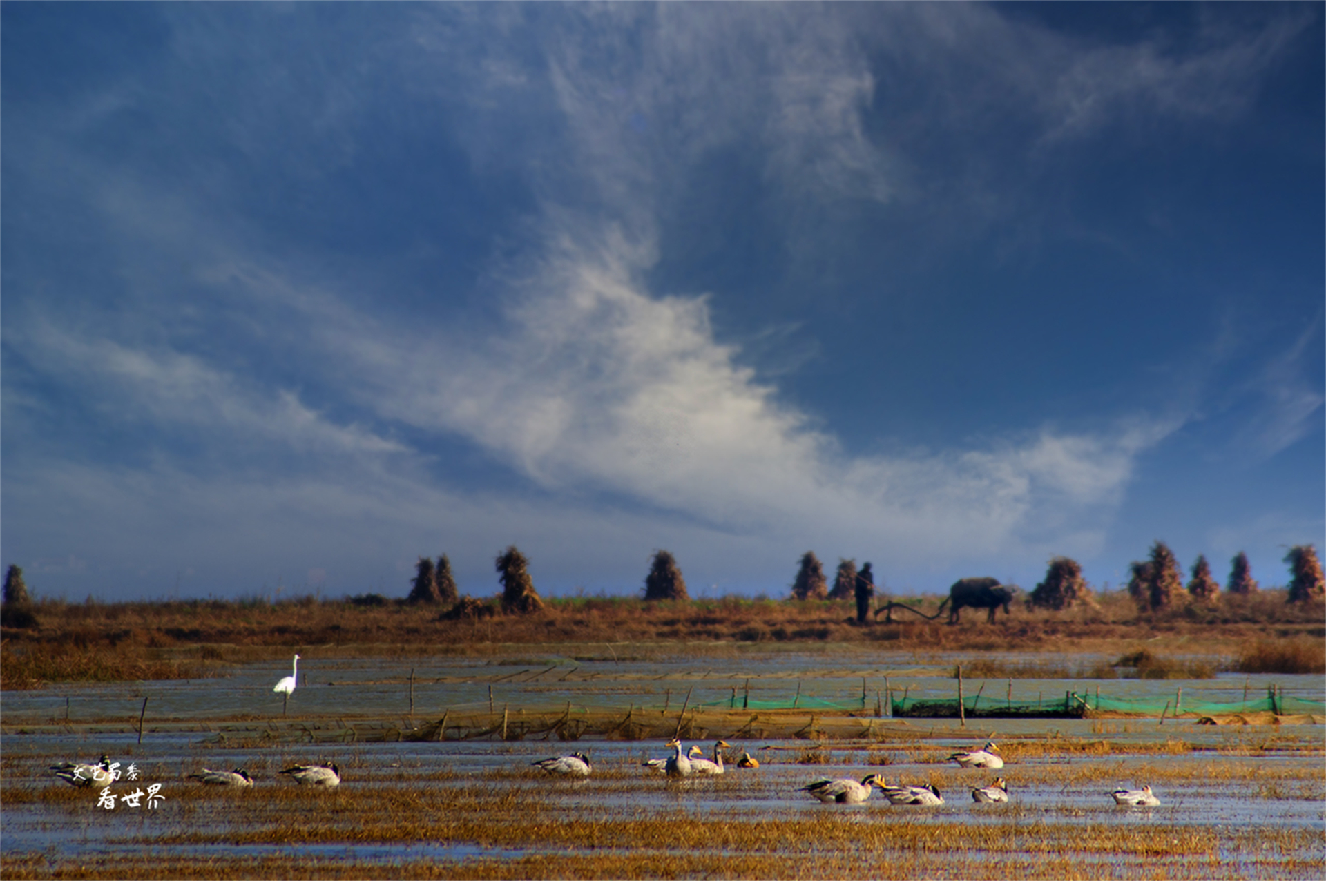 贵州是个神秘的地方,贵州这个景点景色优美你去过了吗