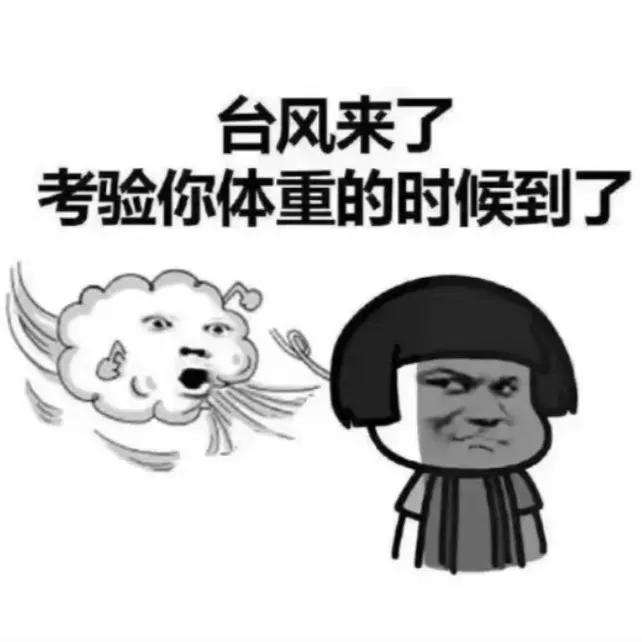 蓝鸟和宝来哪个更保值,新款蓝鸟和新款宝来