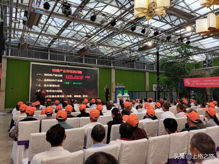 眉山柑橘推介会,眉山柑橘技术