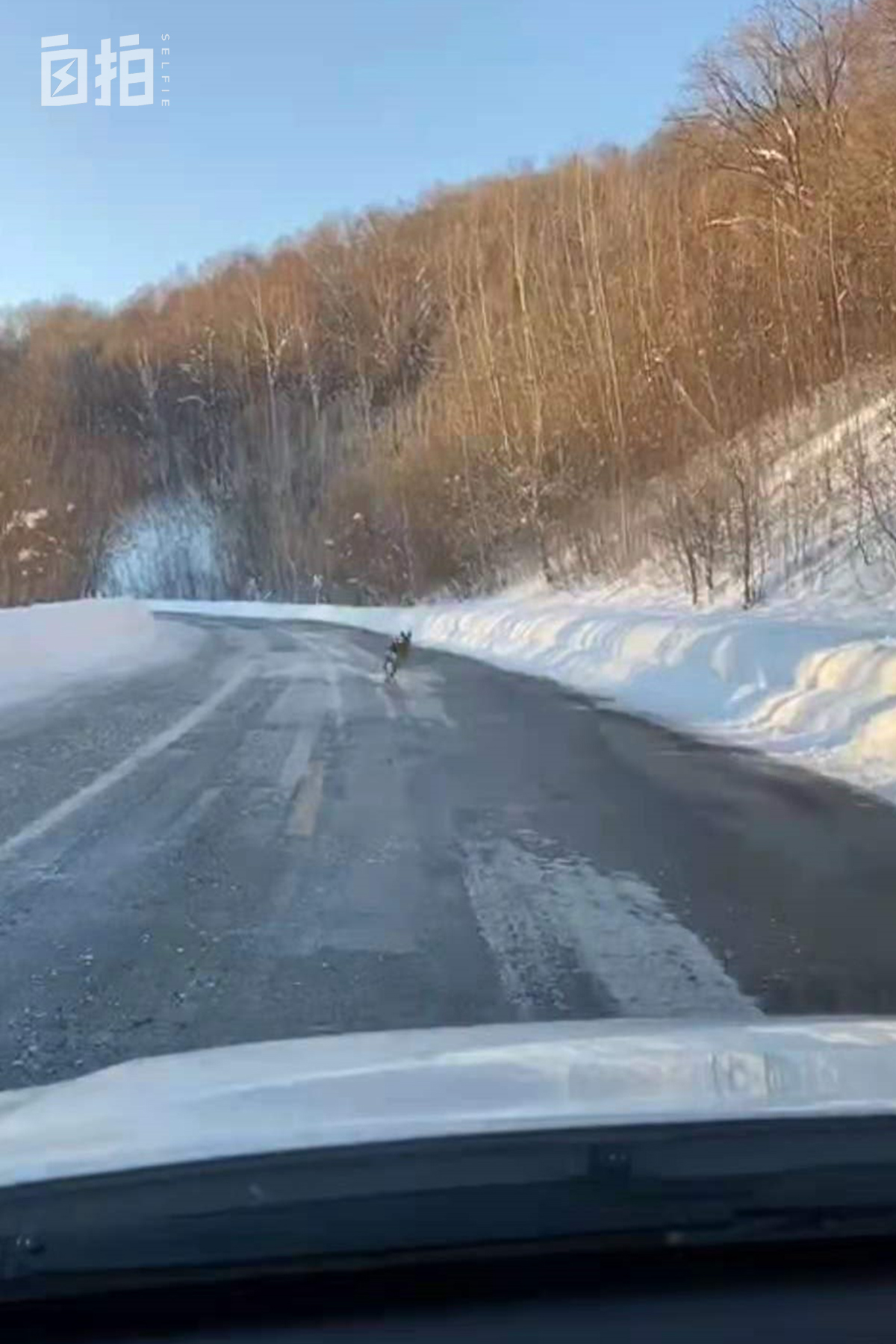 我，东北开过砖厂，巴黎刷过盘子，58岁再转型，从厨师变成摄影师