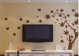 建材知识大全视频,建材知识