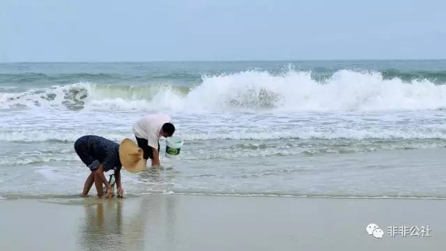 湛江游玩打卡攻略路线,湛江行程攻略