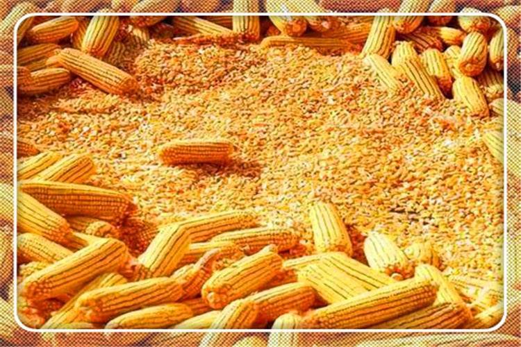 在农村投资50万干什么行业能赚钱,在农村投资30万适合做什么