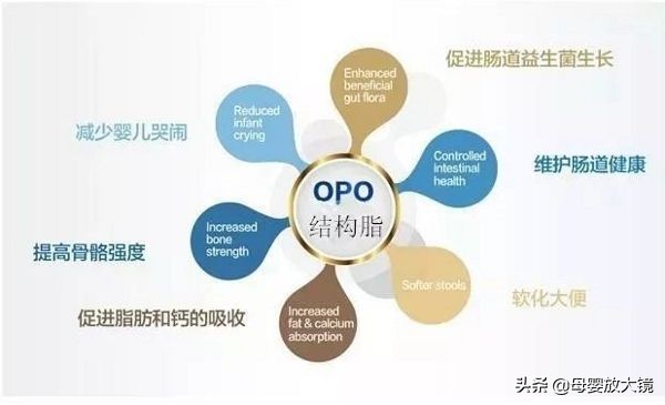 婴儿奶粉羊奶粉口碑最好的前十名,价格最便宜的羊奶粉品牌