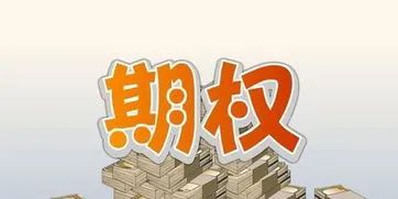 期权股权激励方案大全,股权激励股票期权