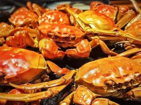 正宗的天津美食一定要尝一尝 (去天津必吃的100种美食)