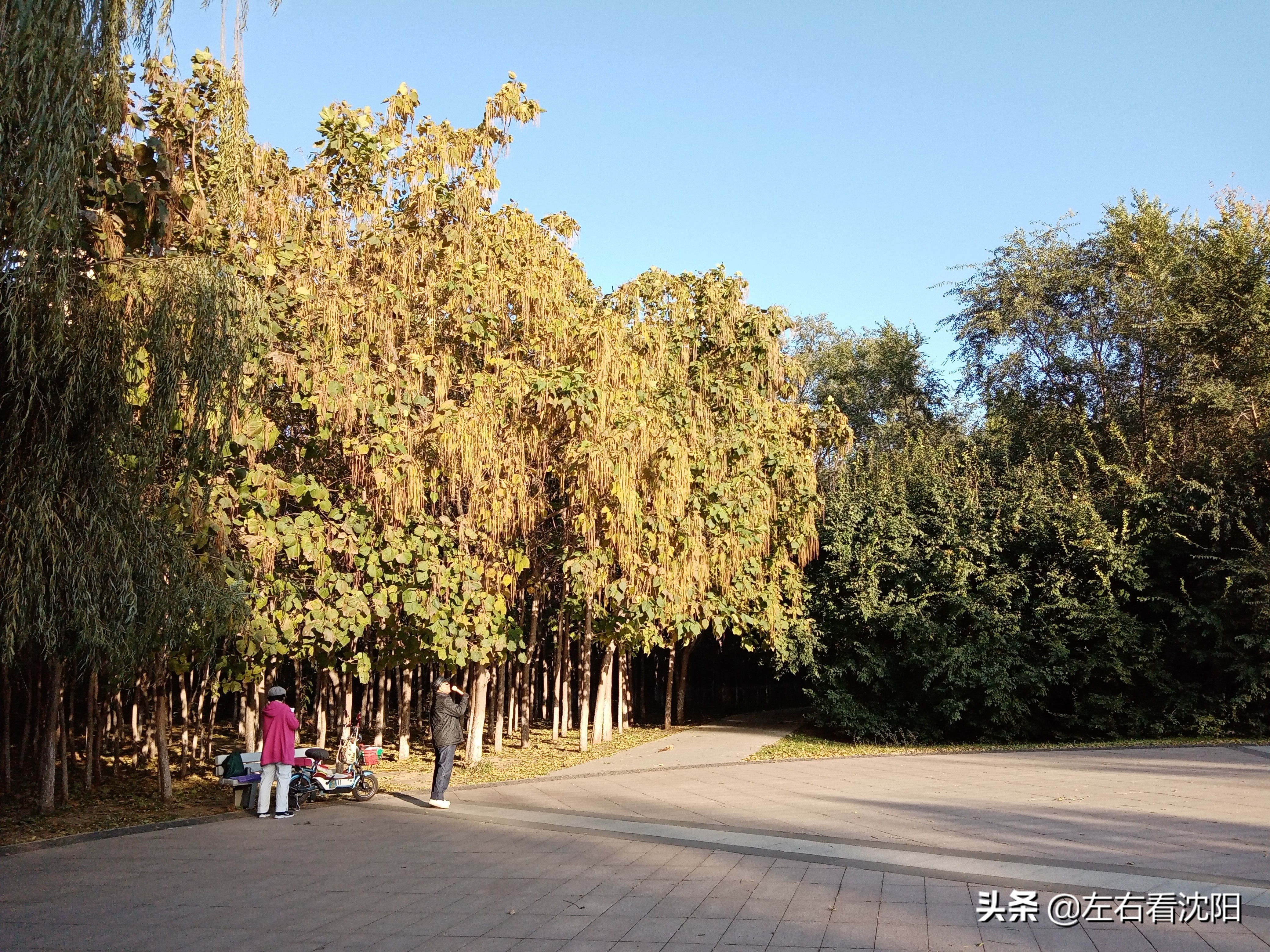 沈阳沈水湾公园看日出,沈阳浑河看海的地方