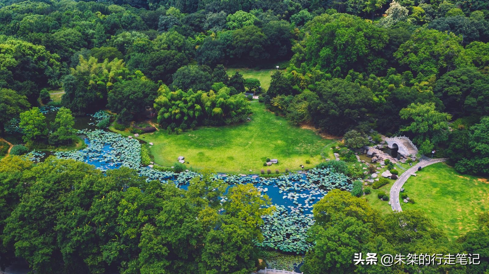 武汉是全球公认的三大赏樱胜地,世界三大赏樱胜地是无锡还是武汉