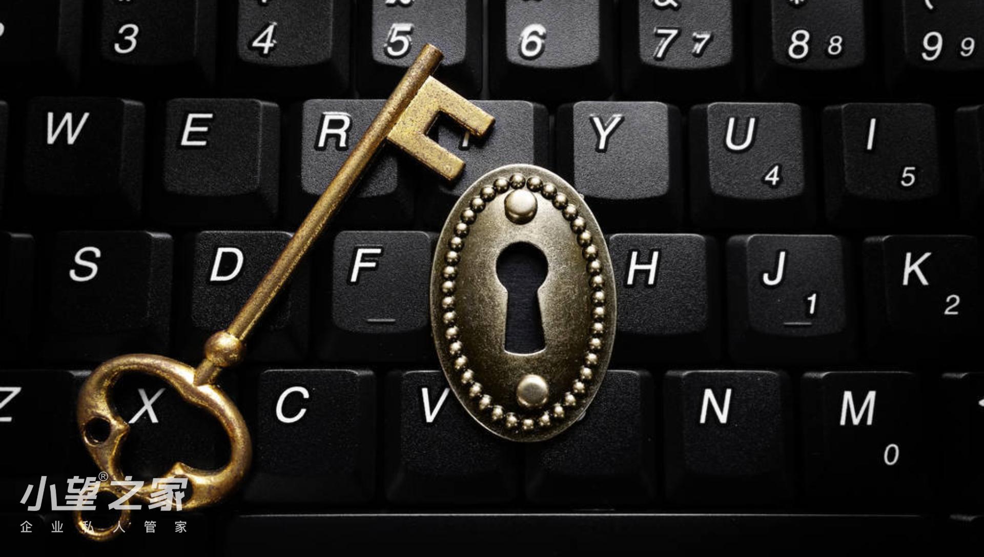 电子专票怎么转换为pdf格式,电子专票票种核定怎么做啊