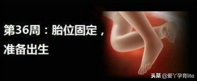 37周到40周做些什么产检,孕期产检知识大全